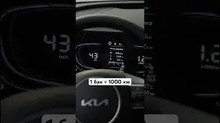 Kia Sportage 2.5 (1000км)
