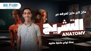 التشريح Anatomy I