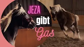 Jeza gibt Gas🐎/Große Fragezeichen in ihrem Gesicht❓