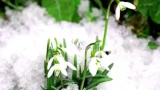 Подарок маме фрагмент