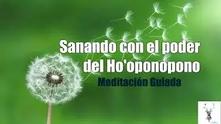 Ho’oponopono - Meditación Guiada - Lo siento. Perdón. Gracias. te amo