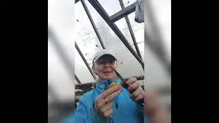 Самые НЕОБЫЧНЫЕ ОВОЩИ 