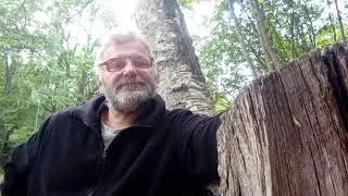 Я хотел бы жить одним днём