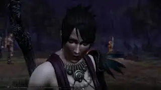Dragon Age Origins. 