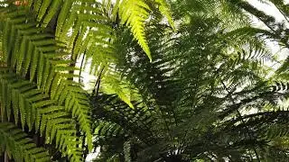 РЕЛАКС ВИДЕО//ПРИРОДА//ПЕЙЗАЖ//РАССЛАБЛЯЮЩЕЕ ВИДЕО//ПРИЯТНАЯ МУЗЫКА