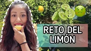 RETO DEL LIMÓN 🍋 Lemon Challenge||LO QUE SUPONE LA GENTE DE MI 😮||Mexicana por España
