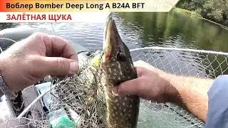 Щука в троллинг. Рыбалка на Реке Псёл. Уловистый Воблер Bomber Deep Long A B24A. 