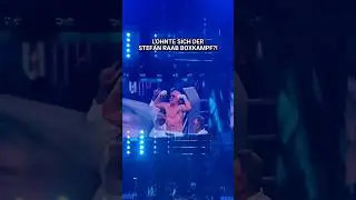 Hat sich der Stefan Raab Boxkampf für den Preis gelohnt? 💰