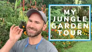 Jungle Garden Tour COLORFUL GARDENER