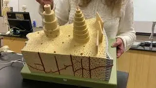 Bone microscopic structure