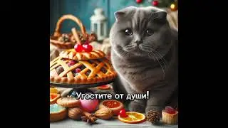 Всем кто хочет поддержать канал карта Сбер:2202200252765159❤С Наступающим Старым Новым годом! 🐱❄