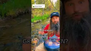 GREEN SCREEN or REAL?? 📺🤷‍♂️🌊 #greenscreen #real #background #creek #drum #pnw #cda @moisai6205