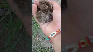 Как сделать вкусную пюрешку? 🌚 Советы от Кэта -#2