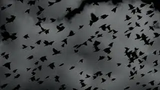 Another Love but it's Slowed and Muffled (Cover by Dybbukk)