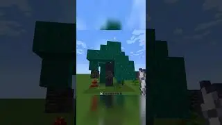 Which Plant Will Grow Through Bedrock?