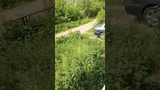 3 июня 2023 г.