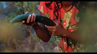 Prophet T Freddy- Mwari Munombowonerera (0fficial Video)