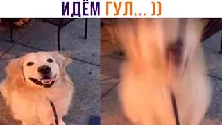 НИ СЛОВА БОЛЬШЕ! ))) | Приколы | Мемозг 1261