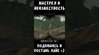 ВЫСТРЕЛ В НЕИЗВЕСТНОСТЬ #shorts #warthunder