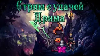 Третий стрим по террарии с 