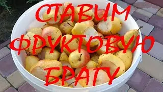 Фруктовая брага, постановка.