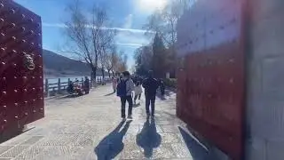 Exploring the Majestic Longmen Grottoes: Luoyang's Ancient Treasures | Day 5