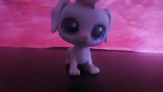 Снять мне фильм?