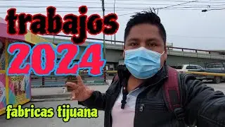 ENERO 2024 el MEJOR temporada para venir a TRABAJAR inicio del año (contrataciones masivas)