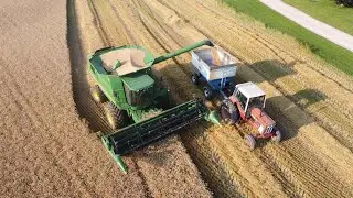 Harvesting Wheat!