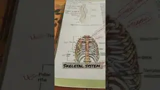 locomotion and movement (skeletal system)                  #neet #neetbiology #neet2022