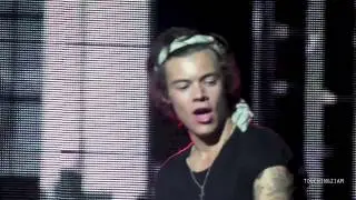 Harry Styles | Gorilla