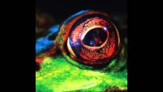 Royal-T, DJ Q & Flava D -  Day & Night (Day Mix)