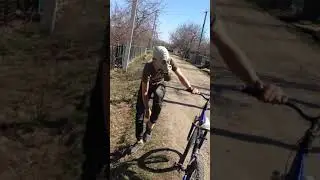 Гусь в противогазе