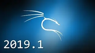 Install Kali Linux 2019 on Vmware Fusion in Mac OSX