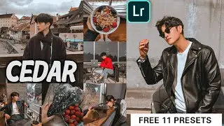 Free 10 Presets + Cedar Preset - Lightroom Mobile Presets Free Dng Xmp | Preset Lightroom Mobile