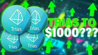 Why You NEED 1000 TRIAS (12 Month Update)