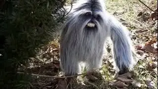 6 Mysterious Photos That Should Not Exist