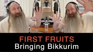 FIRST FRUITS - Bringing Bikkurim - TORAH TUNEZ - Parshas Ki Savo