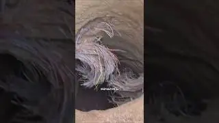 Почему никто не хочет перерезать этот кабель? 😱