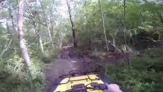 Mudding in Four Wheelers
