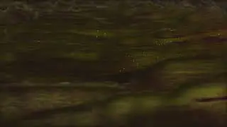 Liquid Gold and Purple Liquid Loop