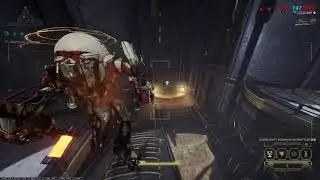Voidrig Necraweb Bug