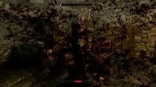 Skyrim decapitation and fatality compilation