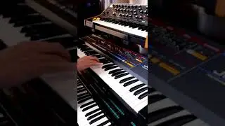 Monday Mood #lofihiphop #hiphop #chillhop #synth #rhodes #juno106 #moogsub37 #vintagesound #music