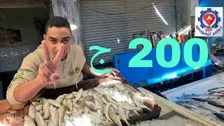 @ اليوم سمك البربوني والصرع والجوابي والمكرونه أسعارهم هتعرفها عند حضورك بنفسك للشراء أمام عينك.