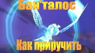 Бан'талос. Как приручить?