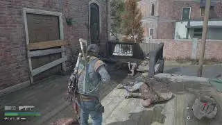 DAYS GONE stuck health bar bug