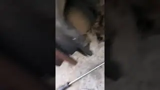 troca de coifa