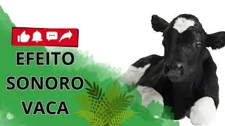 EFEITO SONORO VACA