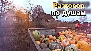 Деревню пропивают Алкаши // Кругом грязь // Шифенг 244 собирает остатки урожая